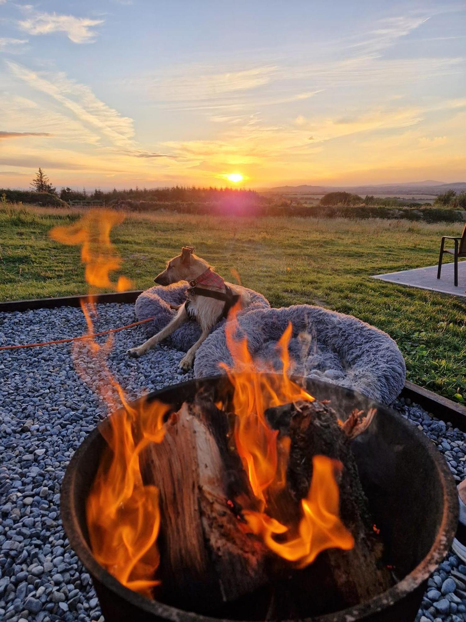 Forth Mountain Glamping Ballintlea Экстерьер фото
